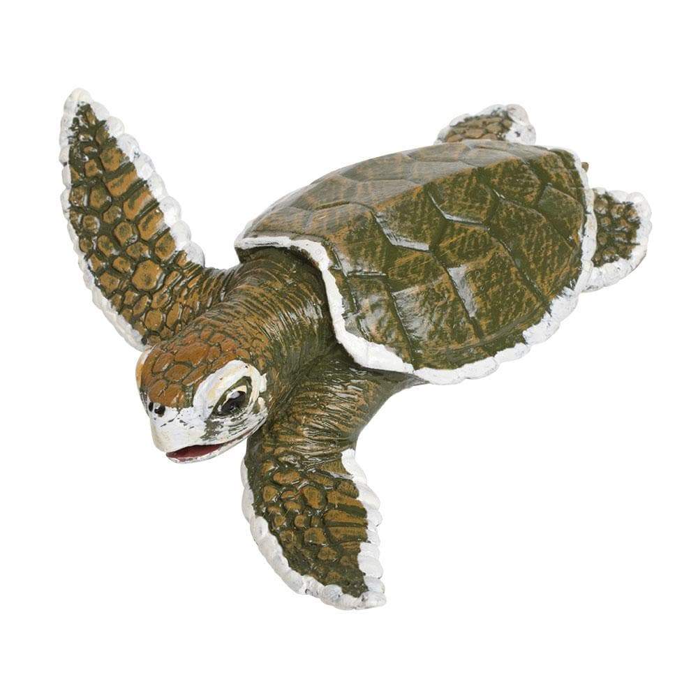 Kemp's Ridley Sea Turtle Baby Toy-0