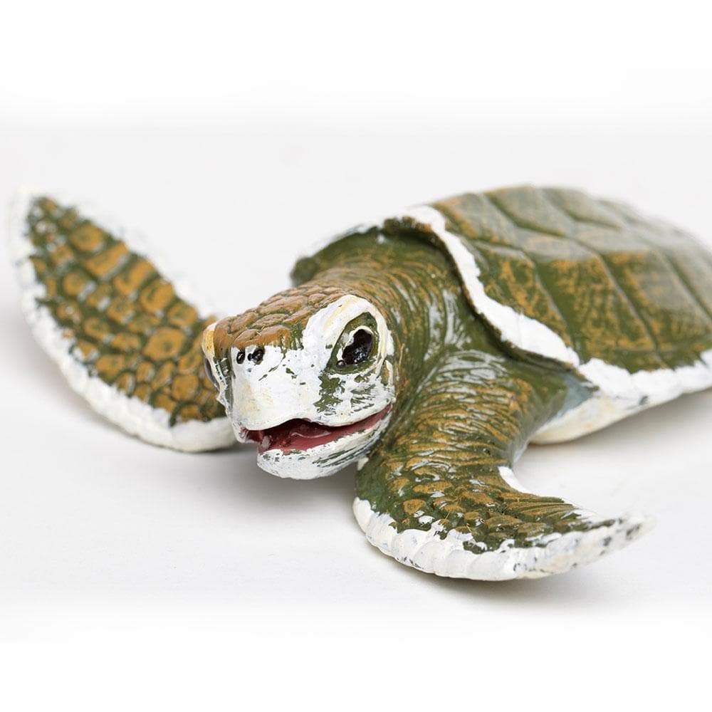 Kemp's Ridley Sea Turtle Baby Toy-4