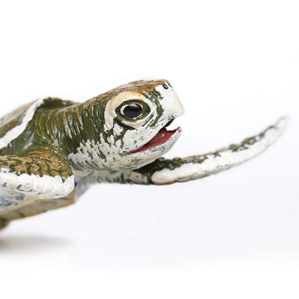 Kemp's Ridley Sea Turtle Baby Toy-3