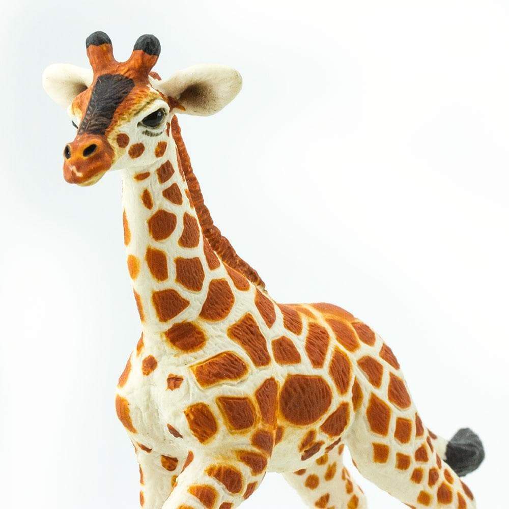 Reticulated Giraffe Baby Toy-4
