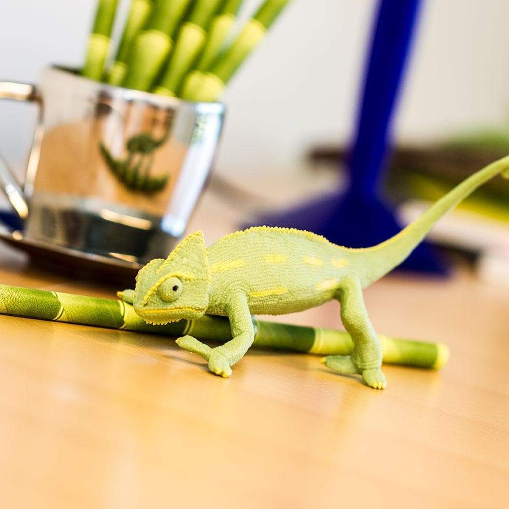 Veiled Chameleon Baby Toy-2