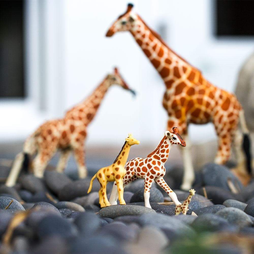 Reticulated Giraffe Baby Toy-3