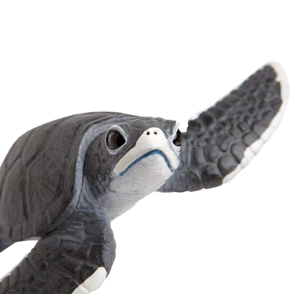 Sea Turtle Baby Toy-3