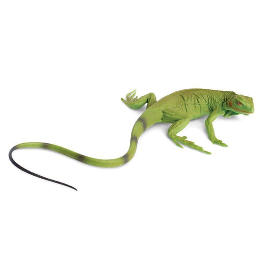 Iguana Baby Toy-0